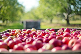 Anti-Inflammatory Diet: What is it and How Can it Benefit Me?