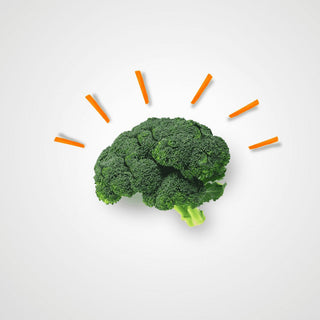 Top tips for optimum brain performance by Sam Bourne