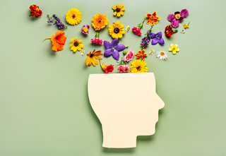 How Nutrition Can Support Mental Health: 5 Evidence-Based Tips
