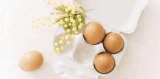 Spring Into Action This Season