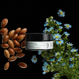 Pow Food Wellness Gift Guide